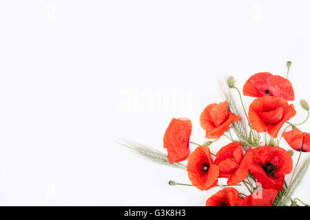 Heads of red poppies and rye in the corner of white background, flat lay Stock Photo