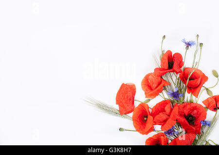 Heads of red poppies, rye and cornflowers in the corner of white background flat lay Stock Photo