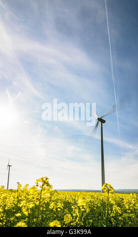 Wind turbines , rapeseed field, Austria, Niederösterreich, Lower Austria, Weinviertel, Neusiedl an der Zaya Stock Photo