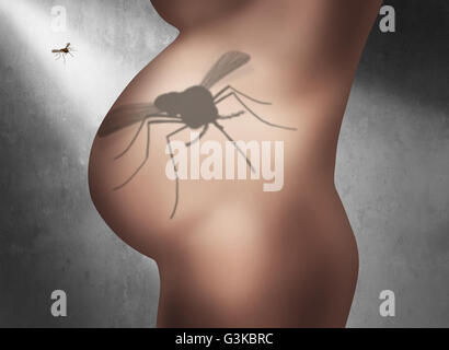 Zika pregnancy fear medical concept and virus danger concept as an infectious mosquito casting a shadow of the insect on the pregnant abdomen belly of a woman victim spreading disease in a 3D illustration style. Stock Photo