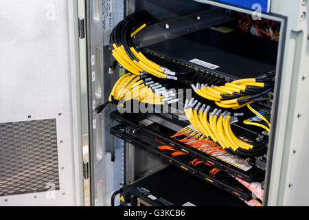Network cable connectors on back of switch hub - USA Stock Photo