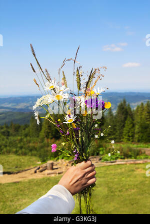 Bouquet of wild flowers in woman's hand with houses in background and ...