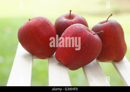 Red apples with blurred green background Stock Photo