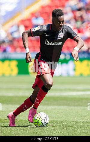 Valencia, Spain. 24th Apr, 2016. I–aki Williams during La Liga match between Levante UD and Athletic de Bilbao at Ciutat de Valencia Stadium. Game ends where the Levante and Athletic Bilbao been tied at 2 goals. © Jose Miguel Fernandez de Velasco/Pacific Press/Alamy Live News Stock Photo