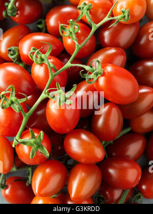 Santini on the vine tomatoes, full frame, close-up Stock Photo