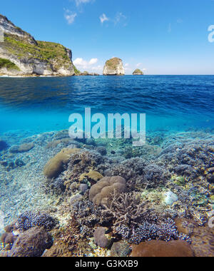 Underwater and surface split view in the tropics paradise with fish and coral reef, above waterline, beautiful view on tropical Stock Photo