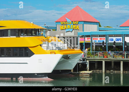 Boat Harbour Urangan Hervey Bay Fraser Coast Queensland Australia Stock ...