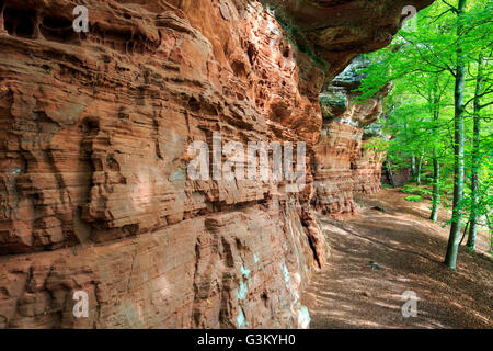 Altschlossfelsen, natural monument, Palatinate Forest, Eppenbrunn, Rhineland-Palatinate, Germany Stock Photo