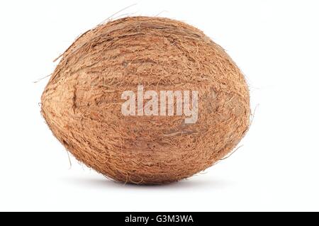 Coconut. Isolated over white backdround . With light shadow. Stock Photo