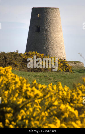 Cleadon Mill, South Tyneside Stock Photo