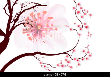 Pink cherry blossom sakura flowers in Japanese style Stock Photo