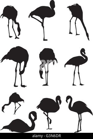 vector illustration of flamingo birds silhouettes Stock Vector