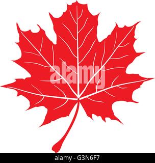 vector illustration of red maple leaf Stock Vector
