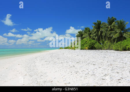 Pristine remote coco palm beach, Christmas Island, Kiribati Stock Photo