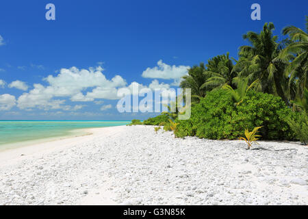 Pristine remote coco palm beach, Christmas Island, Kiribati Stock Photo
