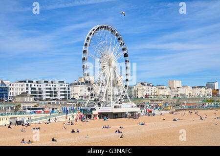 Big Wheel on Brighton seafront, East Sussex, England, UK Stock Photo