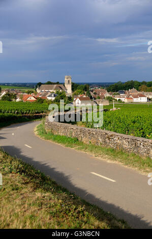 Vineyard and village of Pommard, Cote d'Or, Route des grands crus, Burgundy, France, Europe Stock Photo