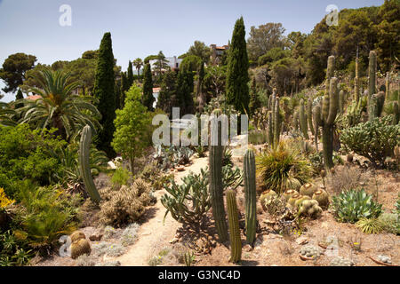 Jardí Botànic Marimurtra, botanical gardens, Blanes, La Selva, Costa Brava, Catalonia, Spain, Europe Stock Photo