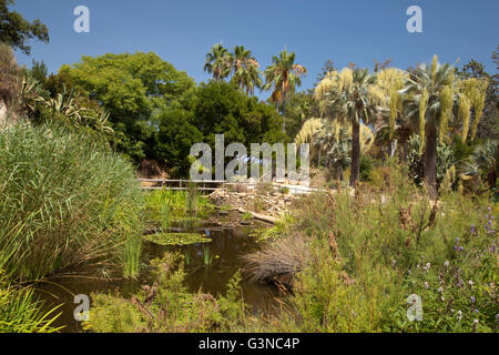 Jardí Botànic Marimurtra, botanical gardens, Blanes, La Selva, Costa Brava, Catalonia, Spain, Europe Stock Photo