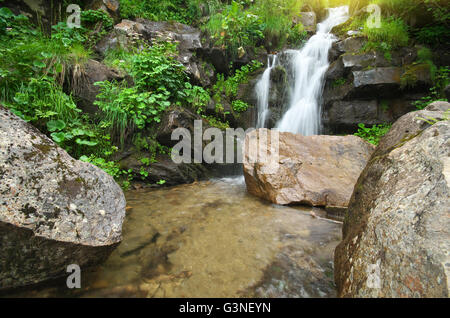 Spring rill flow. Nature composition. Stock Photo