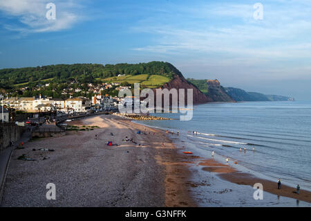 UK,Devon,Sidmouth Seafront and Coastline from Connaught Gardens Stock Photo