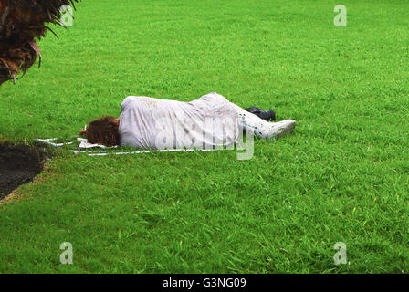 Homeless? man with broken leg sleeping on the grass with lit sigarette Stock Photo