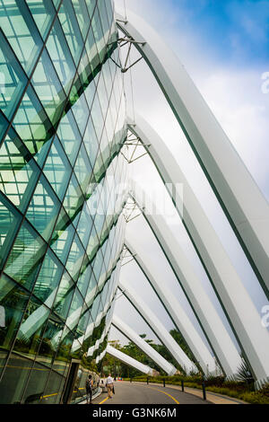 Modern architecture, facade, detail, Flower Dome, The Gardens, Gardens by the Bay, architect Wilkinson Eyre, Marina Bay Stock Photo