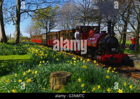 Steam Locomotive, Rhydyronen station,  Talyllyn Railway, Stock Photo