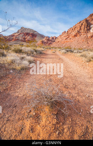 Gravel dirt trail leads into Red Rocks State Park near Las Vegas Nevada. Stock Photo