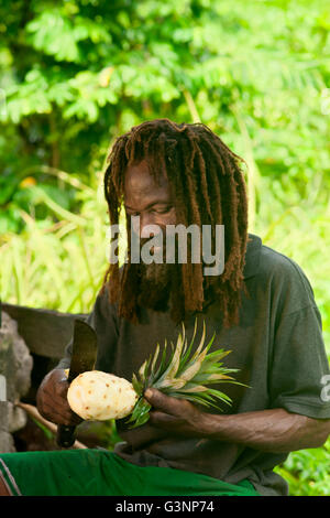 Smiling man in dreadlocks is cutting a pineapple on his farm, White River, Delices, Dominica, West French Indies, Caribbean Stock Photo