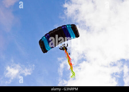 Parachutist coming in to land Stock Photo