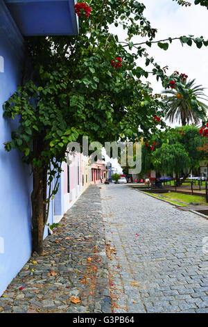 Historic cobblestone street in colonial town of Colonia Del Sacramento, Uruguay. Stock Photo