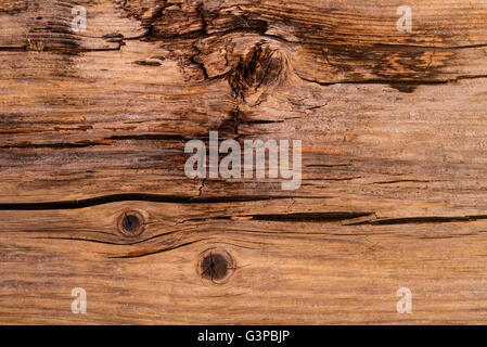 Partly rotted, cracked timber detail. Stock Photo