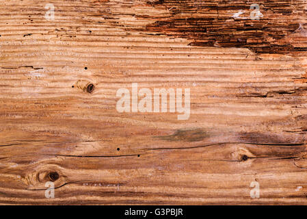 Partly rotted, cracked timber detail. Stock Photo