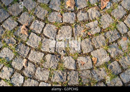 Stone sidewalk in a garden with curved pattern and grass growing between stones and the first fall leaves Stock Photo