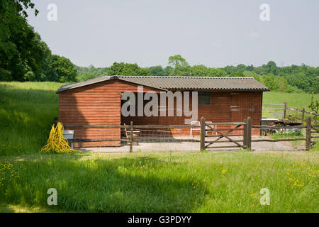 Stable block in a field in West Sussex. Post and rail fencing around. Two stables and a tack room. Stock Photo