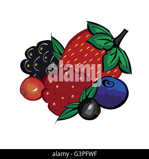 Ripe berries strawberries raspberries blueberries blackberries a Stock Vector