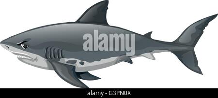 Wild shark on white background illustration Stock Vector