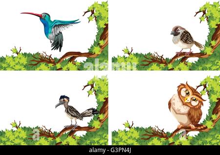 Different wild birds on the branch illustration Stock Vector