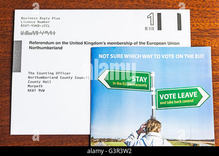 European election postal ballot paper Stock Photo