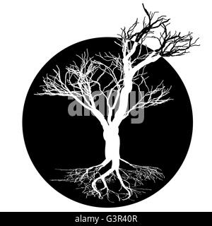 Black and white drawing of deciduous tree. Black silhouette on a white background. Large krone root system. Stock Vector