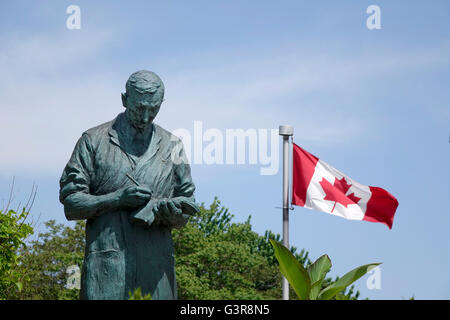 The Doctor Frederick Banting Statue In The Garden Of The Banting House Museum, London Ontario, The Birthplace Of Insulin Stock Photo