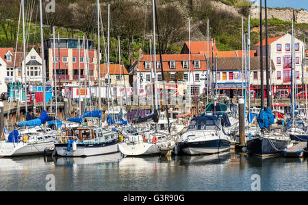 Yachts in the marina in Scarborough harbour Stock Photo