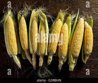 Fresh local organic corn on the cob against a rustic harvest table background. Stock Photo