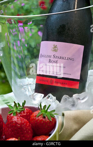 English Sparkling Rosé wine bottle in iced wine chiller with bowl of fresh strawberries on alfresco garden picnic table Stock Photo