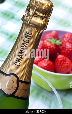 Close view on Champagne bottle in wine chiller with bowl of fresh strawberries on alfresco picnic table Stock Photo