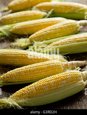 Fresh local organic corn on the cob against a rustic harvest table background. Stock Photo