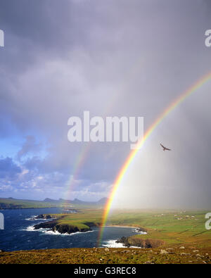 IE - CO. KERRY:  Rainbow over Ballyferriter Bay on the Dingle Peninsula Stock Photo