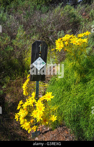 Interpretive marker on the Pelican Bay trail, Santa Cruz Island, Channel Islands National Park, California USA Stock Photo