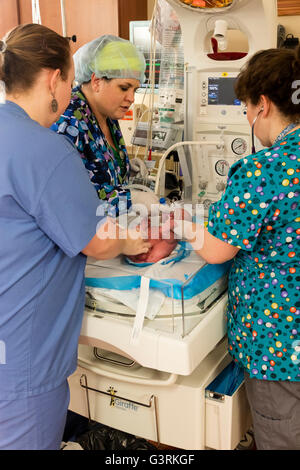 nurses in NICU looking after new born baby, Trios Kennewick General Hospital, Tri-Cities, Washington, USA Stock Photo